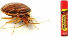 Tipuri de diclorofos și prelucrare pentru ele de la bedbugs și alte insecte