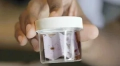 Tipuri și principiu al paturilor de lucru pentru bedbugs