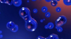 Reproducerea organismelor