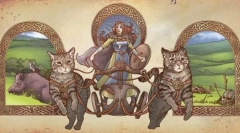 Totul despre pisica europeană de scurtă durată