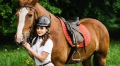 Selectarea de grajduri, antrenor și cai