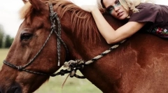 Interacțiunea și calul uman