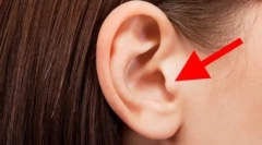 De ce pisicile buzunarul pe urechi