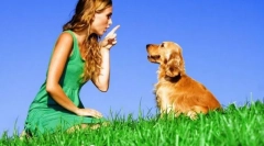 Interzicerea echipei