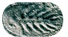 Animale din perioada venndiană