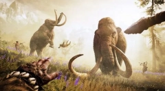 Locuiește sunt mamiști?